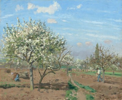 A tree with emerald-green leaves and laden with white blossoms grows in a dirt field, and is silhouetted against a vibrant blue sky in this horizontal landscape painting. The scene is loosely painted with visible dabs and strokes. The tree takes up most of the left half of the painting, and is closest to us. It casts a dappled shadow onto the ground to our right. A barren tree with gnarled branches grows nearby, in the tree’s shadow. A row of more trees extends in the distance to our right. A narrow dirt path, bordered by low green growth, stretches from the bottom edge of the canvas, to our right of center, into the field. To our left and farther from us, a woman leans over and reaches for the ground. She faces our left in profile and wears a white bonnet, a brown shawl, and a blue skirt. Near the line of trees to our right, a man walks toward the woman. He wears blue pants, a white shirt, a dark cap, and he carries a tan bag over his left shoulder. There are more trees along the horizon, which comes about a third of the way up the composition. The sky above is light gray near the horizon and deepens to vivid blue with fluffy white clouds. The painting is signed and dated in the lower right: “C. Pissarro 1872.”