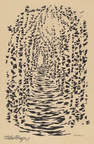 Untitled (Abstract Patterning of Light and Shadow on a Tree-lined Path)