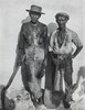 Dock Workers, Havana, 1932