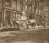 Ragman and Cart, Twenty-Ninth Street, between Third and Lexington Avenues