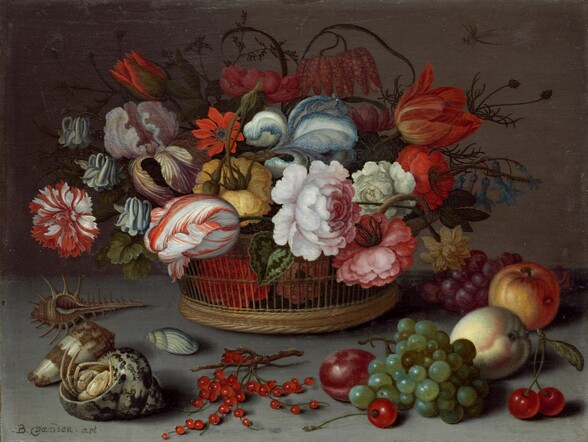 A basket overflowing with flowers sits on a table alongside fruit, berries, and seashells in this horizontal still life painting. The wide, low straw-colored basket has a woven base and more open, rib-like sides. The bouquet is made up of white and pink roses, a sky-blue iris and another with pale yellow and lavender-purple leaves. There are also a carnation striped with red and white, flame-orange poppies, and at least three tulips, including one that is scarlet red, a white tulip veined with red, and one with red petals streaked with yellow. Other flowers and dark green stems and leaves fill out the arrangement. The basket sits on a slate-gray tabletop that extends off both sides of the painting. Four shells sit to our left of the basket. These include a woodcock murex shell with a spiraling head with spikes and a long, spiny tail; an elongated, smooth conch shell with an ivory-white and brown calico surface; and light blue snail shell. Finally, closest to us, the largest, spiraling triton shell is occupied by a hermit crab. A sprig of glowing red berries sits at the front center of the composition. To our right, a cluster of fruit includes purple and green grapes on the vines, red cherries, a red plum, and two pieces of yellow and blush-pink fruit. The scene is lit from our left against a darkened background, so a dragonfly in the upper right corner is nearly lost in shadow. The artist signed the painting in the lower left corner, “B.vander.ast.”