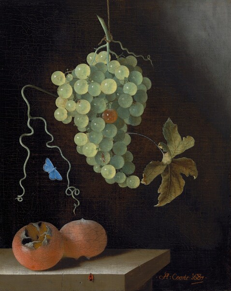 <p>Adriaen Coorte, Still Life with a Hanging Bunch of Grapes, Two Medlars, and a Butterfly, 1687