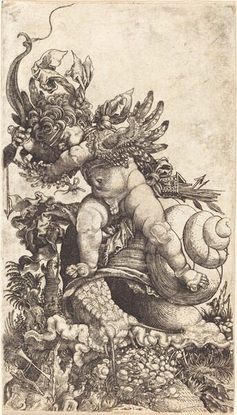 Cupid Riding a Snail over Fungus Vegetation