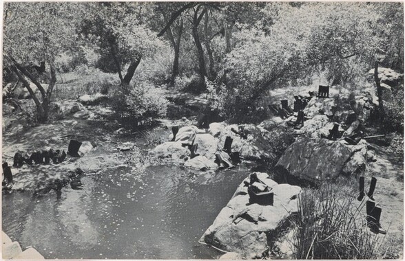 100 Boots at the Pond. Mission Gorge, California. July 12, 1971, 2:00 p.m.
