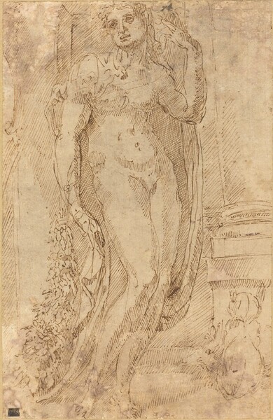 Allegorical Figure with a Cat and a Pig