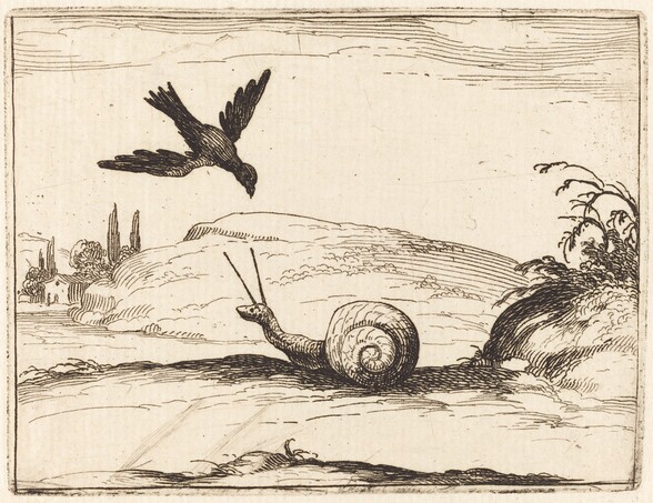 Crow and Snail