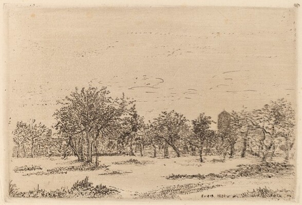 Orchard (Le Verger)