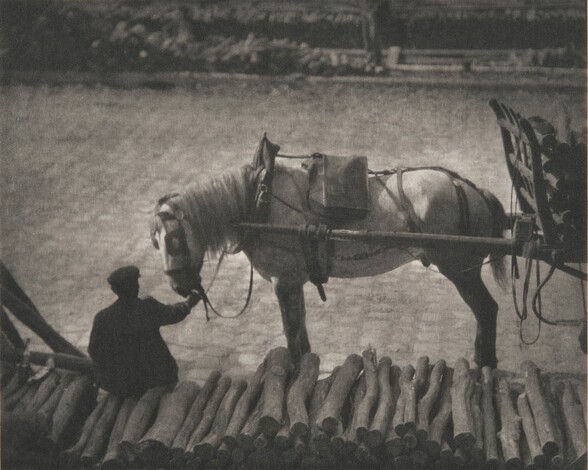 A Snapshot, Paris [horse]