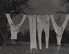 Laundry, Lake George [verso]