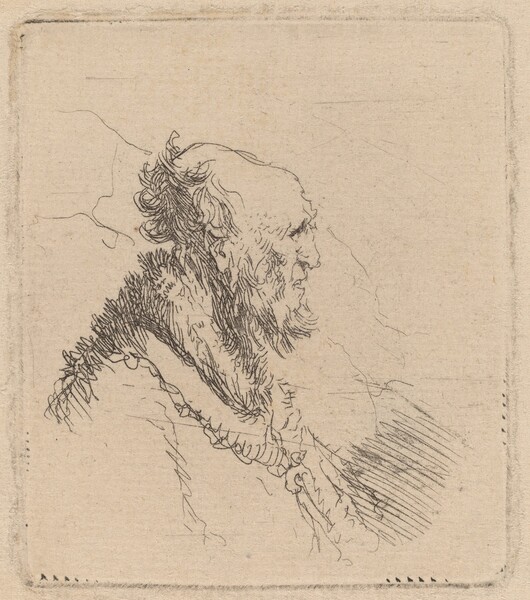 Bald Old Man with a Short Beard in Profile