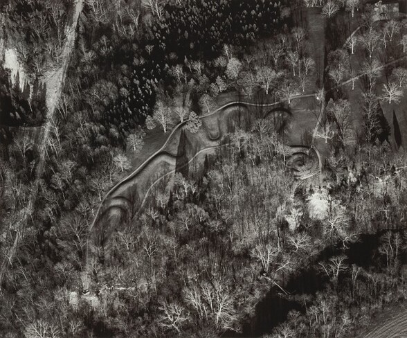 From an aerial perspective, we look down onto a forest clearing with a squiggling, coiling, mounded ridge in this horizontal black and white photograph. Each end of the line spirals into itself, and the line curves up and down like a sound wave in between.