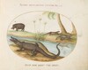 Plate 50: A Crocodile, a Hippopotomus, a Land Crocodile or Tegu Lizard(?), and a Crocodile or Spiny-Tailed Lizard with a Papyrus Plant