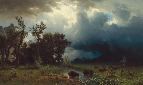 The top three-quarters of this horizontal landscape painting is filled with roiling, deeply shadowed clouds that tower over a line of buffalo that cross a grassy meadow below. Small in scale, the buffalo form a line that extends away from us at a diagonal into the distance to our right. Sunlight creates a bright reflection on the stream where the frontmost buffalo walks across, but the other animals are nearly backlit in the raking light. Trees, with branches whipping in the wind, rise along the left side of the painting, and the mountainous landscape to our right is lost in darkness under heavy clouds. The clouds above lighten from navy blue in the lower right corner of the sky to slate blue and white at the center of the painting. Small patches of blue sky are visible between a few breaks in the clouds, and sunlight falls on a cliff-like mountain face in the distance beyond the trees to our left. Another bank of parchment-colored clouds in the upper left corner, closer to us, contrasts with the glimmering light highlighting some of the clouds nearby.