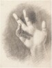 Study of a Right Hand [recto]