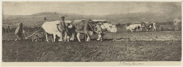 Ploughing on the Campagnetta