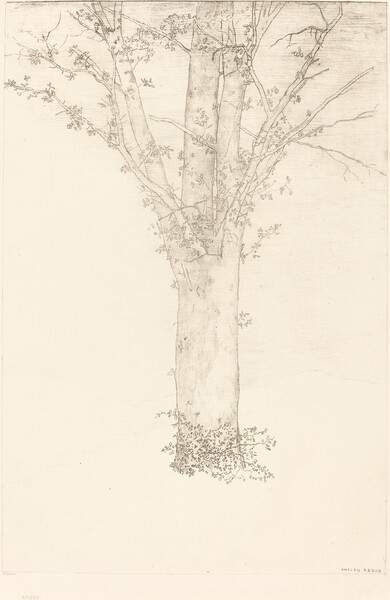Arbre (Tree)