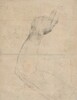 Study of an Arm [verso]