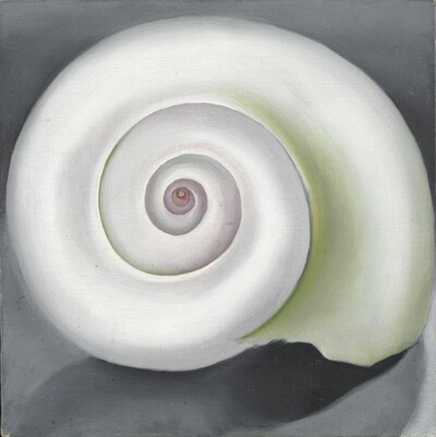 The spiraling whorls of a nearly round, pearl-white shell fills this square painting. The inner edges of the shell’s whorls are shaded with pale spring green, especially to our right, and the innermost spiral is pale pink. The outer lip, that is, the open end of the shell, faces down to our right. The shell sits against a stone-gray background and casts a shadow to our left.