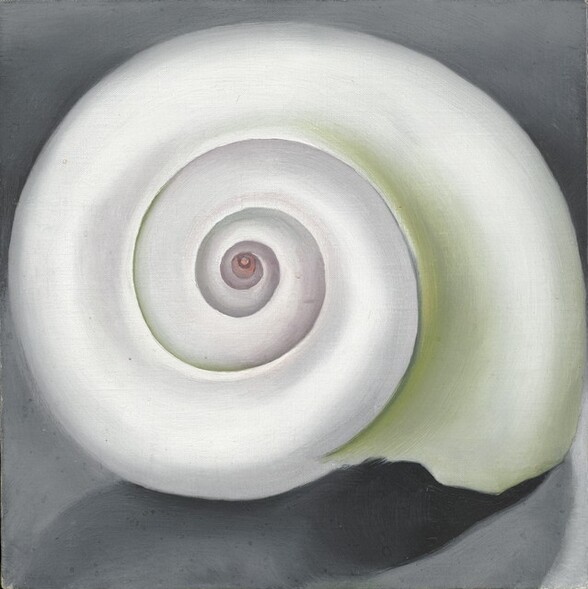 The spiraling whorls of a nearly round, pearl-white shell fills this square painting. The inner edges of the shell’s whorls are shaded with pale spring green, especially to our right, and the innermost spiral is pale pink. The outer lip, that is, the open end of the shell faces down to our right. The shell sits against a stone-gray background and casts a shadow towards our left.