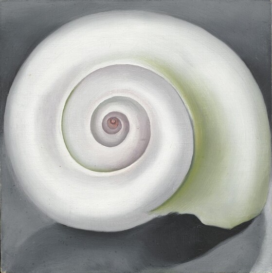 The spiraling whorls of a nearly round, pearl-white shell fills this square painting. The inner edges of the shell’s whorls are shaded with pale spring green, especially to our right, and the innermost spiral is pale pink. The outer lip, that is, the open end of the shell, faces down to our right. The shell sits against a stone-gray background and casts a shadow to our left.