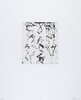 Untitled 5