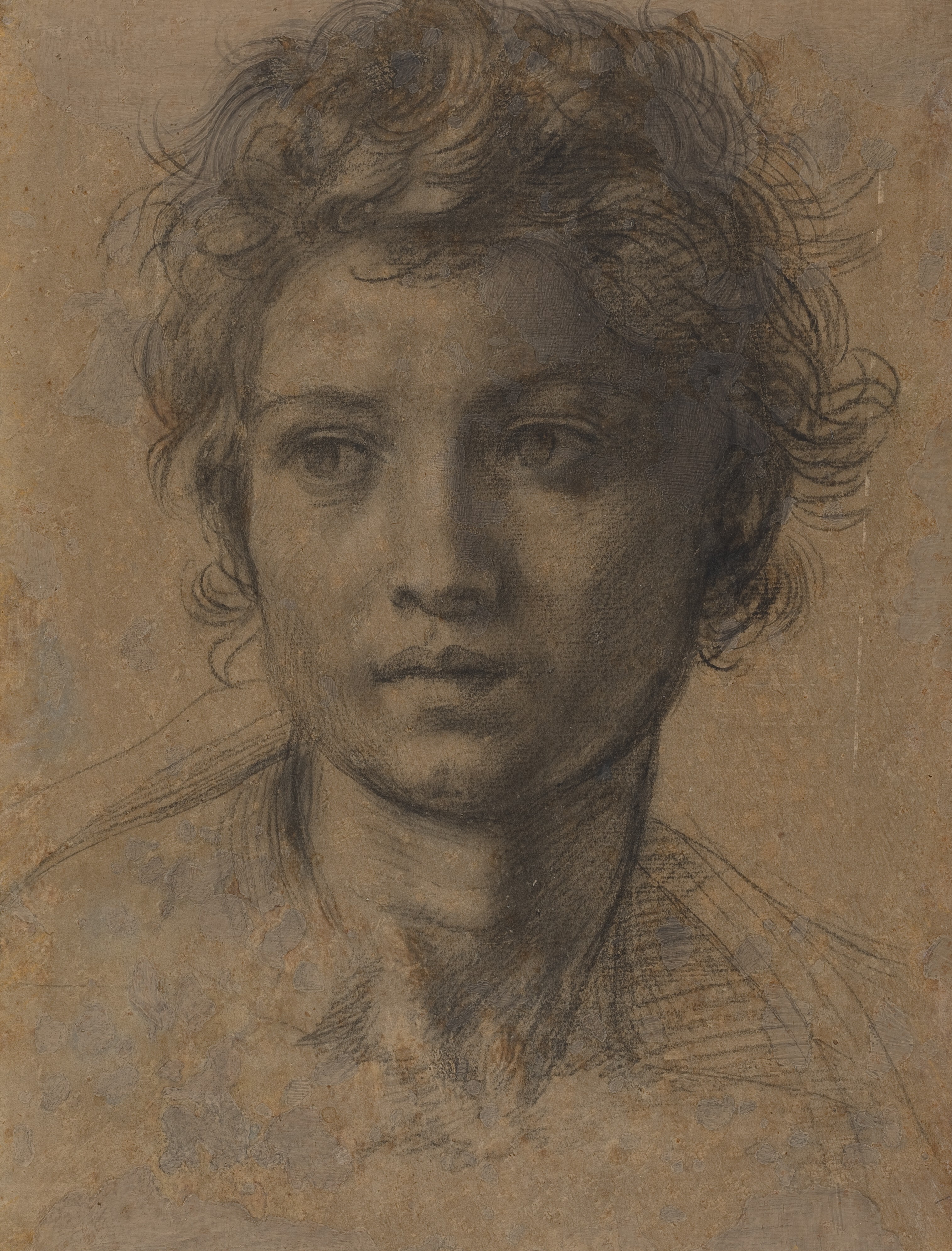 John sarto 2025