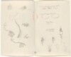 Studies for Jewelry Designs [verso]