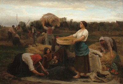 About a dozen women and men, all with pale or suntanned skin, work in a field harvesting grain in this horizontal painting. The women wear long skirts and aprons, and some wear cloths tied around their heads. The men wear long-sleeved shirts rolled up to the elbow and long pants. Closest to us and to our right of center, a woman stands facing our left in profile, holding a large, round sieve. Her dark hair is pulled back, and she wears a gold-colored, teardrop-shaped earring in the ear we can see. The sleeves of her white blouse are rolled up and a teal-blue apron is tied over a brown, ankle-length skirt above bare feet. Black seed pours from the sieve, which she holds in front of her with arms wide, onto a cloth below. To our left, a woman wearing a dark skirt, a white shirt, and a red head covering kneels on the cloth and scoops the black seed into a bucket. Next to her, a girl wearing a brown dress sits on the cloth and watches the seed cascade down as she holds a baby or a doll in her lap. One white bag stands upright behind the woman holding the sieve, while a second bag has been depleted. A brass-colored tea kettle sits between the bags with a vessel, possibly ceramic. Vivid red flowers in that area could be a patch of poppies in the field. A woman behind this group, to our right, wraps a big bundle of stalks in a blue sack while another woman, to our left, carries a bundle of the rapeseed stalks balanced on her head with both hands. A group of men beyond her work in a circle, holding long scythes with straight blades overhead. Another woman kneels with her back to us and others work, hunched over, around the men. The field is enclosed by band of pine-green trees surrounding houses and barns. Gray clouds cover much of the pale blue sky above. The artist signed and dated the work in dark paint in the lower left corner: “Jules Breton Courrieres 1860.”