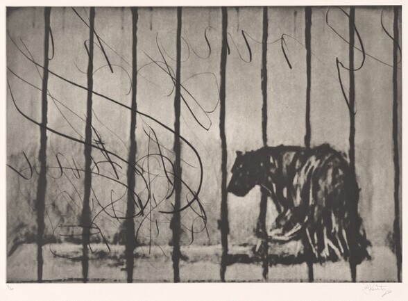 Caged Panther