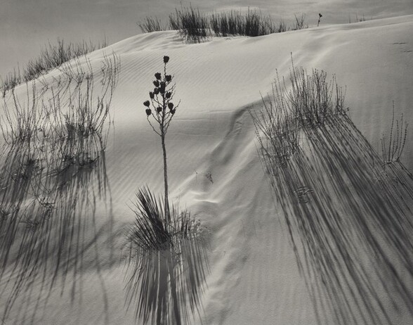 Dune, White Sands National Mexico Monument, New