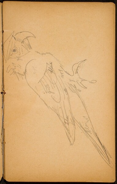 Papagei (A Parrot) [p. 19]