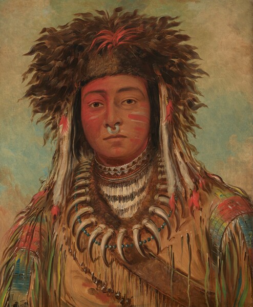 The head, shoulders, and chest of a young man with brown skin, dressed in Ojibbeway tribal attire, faces and looks at us in this vertical portrait painting. The right side of his face, on our left, is painted crimson red, and horizonal stripes of red and white line his other cheek. He looks at us with dark brown eyes under black eyebrows. A silvery white ring hangs from his nose between his nostrils. His upper lip is darker than his skin-colored lower lip, and his mouth is closed. His brown fur headdress has a cardinal-red patch at the front center. Pearl-white feathers with red tips hang along both sides of his face and down to his shoulders. The sleeves of his tan coat are streaked with sky blue, tomato red, and lemon-lime green, and fringe of the same colors hangs along the arms. Fur lining at the neck follows the curve of a string of curving, white claws and a glinting string of silvery-gray beads. He also wears a high, beaded collar with white and dark brown geometric pattern. A strap crosses his chest. The background behind him is mottled with sage green, tan, and cream white.