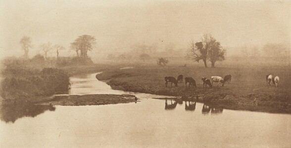 Sheep on the Marshes [Landscape with Cattle]