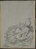 Fressender Löwe (Lion Eating) [p. 25]
