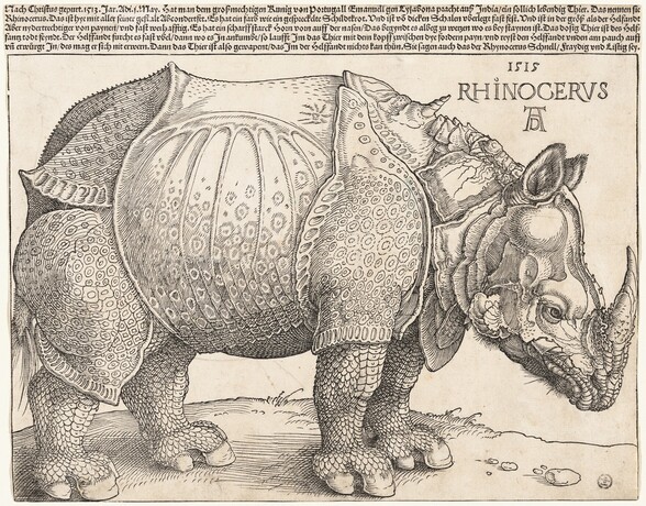Printed with black lines on cream-white paper, a rhinoceros facing our right in profile fills this horizontal woodcut. The rhinoceros’s horn touches the border to the right and its hindquarters the left. Its left foot, farther from us, stands slightly ahead of its right hoof. Its front feet are close together and its head is lowered. Chunky, armor-like plates covering its body are patterned in some areas, especially on its legs and belly, with rings and dots, creating a mottled effect. The skin on its legs is scaly like a fish or reptile. A short, twisted, unicorn-like horn grows from between its shoulders, and the animal’s lower lip and the ear we see is fuzzy with short hairs. Near the upper right, in the corner near the animal's shoulders, the print is inscribed, “1515 RHINOCERVS.” Below, the artist’s initials appear as a monogram, with an upper case D tucked within the legs of an A. Five rows of tightly spaced German writing runs across the top edge of the paper, above the single-line border framing the animal. It reads, Nach Christus gepurt. 1513. Jar. Adi. 1. May. Hat man dem groszmechtigen Kunig von Portugall Emanuell gen Lysabona pracht ausz India ein sollich lebendig Thier. Das nennen sie Rhinocerus. Das ist hye mit aller seiner gestalt Abconderfet. Es hat ein farb wie ein gespreckelte Schildtkrot. Und ist von dicken Schalen uberlegt fast fest. Und ist in der grösz als der Helfandt Aber nydertrechtiger von paynen und fast werhafftig. Es hat ein scharff starck Horn vorn auff der nasen Das Begyndt es albeg zu werzen wo es Bey staynen ist. Das dosig Thier ist des Helffantz todt feyndt. Der Helffandt furcht es fast ubel dann wo es In ankumbt so laufft Im das Thier mit dem kopff zwischen dye fordern payn und reyst den Helffandt unden am pauch auff un erwürgt In des mag er sich nit erwern. Dann das Thier ist also gewapent das Im der Helffandt nichts kan thun. Sie sagen auch das der Rhynocerus Schnell Fraydig und Listig sey.