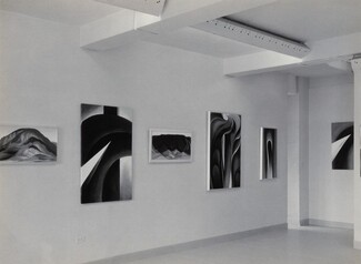 image: Georgia O'Keeffe—Exhibition at An American Place