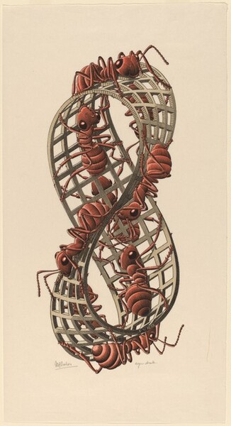 Eight brick-red ants crawl along a three-dimensional figure eight in this vertical woodblock print. The figure eight is a mobius strip, which can be created when connecting the ends of a strip of paper or other material after having twisted one end halfway around. The mobius fills most of the height of the composition, and seems to be made from a strip of peanut-brown, trellis-like material. The ants crawl along both sides of the mobius strip, which creates an infinite surface because of the way it twists on itself. The shape and ants are set against a cream-colored background. The front edge of the bottom loop is inscribed with “II ’63 MCE” in miniscule lettering. The artist signed the paper under the image near the lower left corner, “MCEscher,” and inscribed “eigendruk” under the lower right.
