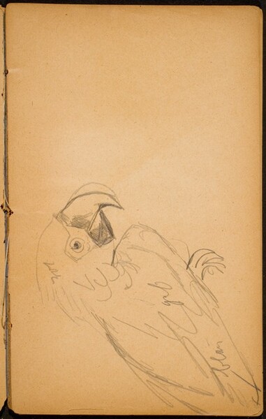 Papagei (A Parrot) [p. 17]