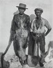 Dock Workers, Havana, 1932