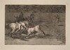Mariano Ceballos, alias el Indio, mata el toro desde su caballo (Mariano Ceballos, Alias the Indian, Kills the Bull from His Horse)