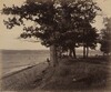 Cayuga Lake, Sheldrake