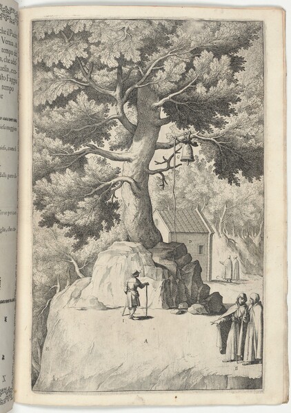 Beech Tree with the Bell (Faggio della campana) [plate X]