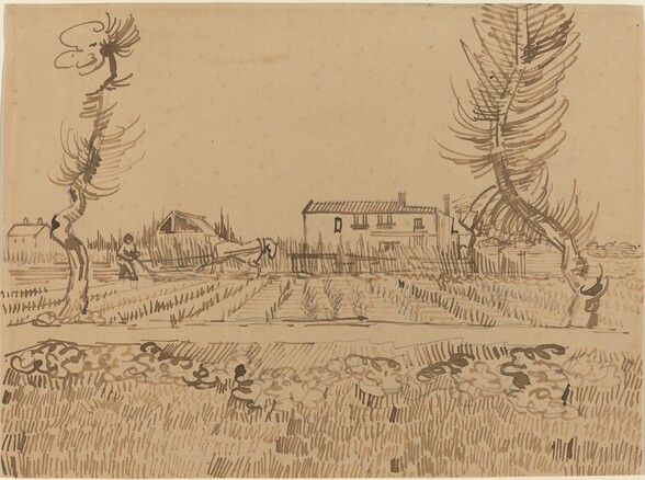 Fields stretch away from us towards three farm buildings and a man walking behind a plough pulled by a horse in this horizontal drawing. Made with brown ink on tan paper, the grass and plants in the field closest to us are suggested by tightly packed clusters of parallel, short, vertical strokes and curlicues of lighter and darker brown that fill the width of the composition. Just beyond it is a gap, suggesting a road, and another field made up of orderly rows of short strokes angled slight to the left or right that recede toward the man and buildings. One twisted tree, with a gnarled trunk and spiky branches, stands to our left and right where the more distant fields meet the road, near the sides of the paper. The trees reach high into the blank sky above them. Farther back and to our left, the man and horse are drawn with only a few strokes each, shown facing our right in profile. Beyond them, vertical lines of varying heights, with some intersected by horizontal lines, separate the field from the farmhouses. We see the top level of the three loosely drawn buildings along the horizon line, that comes just under halfway up the composition. The largest is a long rectangular structure just right of center with a few windows scattered across its facade. To the left, just beyond the horse and ploughman, is a smaller square structure with a peaked roof. On the far left, the third building has two dots suggesting windows. More thin, vertical strokes appear beyond the buildings and a low bank of puffy clouds hovers just above the horizon on the right side. Some outlines in graphite are visible under or near the ink lines.