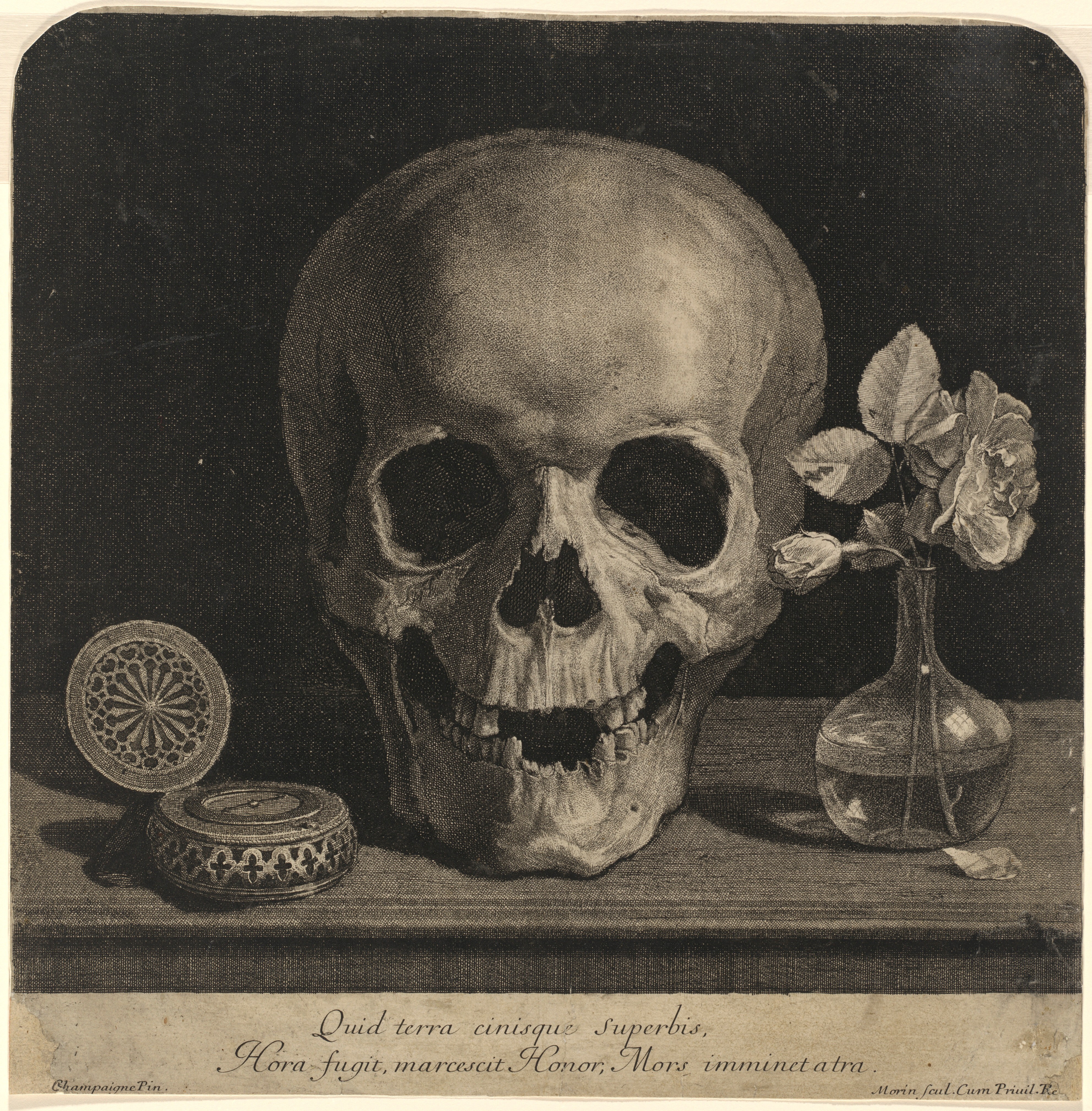 【18％OFF】 with Life Still a Roses of Vase a and Skull 洋書