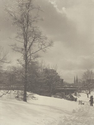 Winter, Central Park