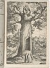 Apparition of the Virgin in the Beech Tree (Faggio dell'apparizione della Vergine) [plate P]
