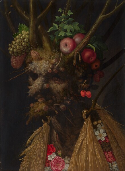 In this vertical painting, a tree trunk, branches, plants, fruit, and flowers are arranged to create the head, neck, and chest of an old person, like a portrait. The face and shoulders are angled to our left against a black background. The ash-brown tree trunk is the head with stumps to represent the long, bulbous nose, protruding chin, and ear. The eyes and mouth are sunken in deep shadow. Smaller bumps and the rough texture of the bark of the skin resembles warts or other imperfections. Flax-yellow moss or fungi grows on the chin and head, creating the impression of short hair. Branches grow up from the top of the head like antlers or a tall crown. On our left, green and purple grapes sit among the branches and stumps on the head while red apples and pears sit on our right. Ivy grows up on branch behind the apples. Two red cherries dangle from the small stub of the ear we can see. Pale pink, red, and white flowers on the chest make a garment. Sheaves of wheat hang down from branches protruding from the neck over the flowers. The artist signed the painting with black letters where bark has peeled away from a branch to our upper right, ARCIMBOLDUS F.