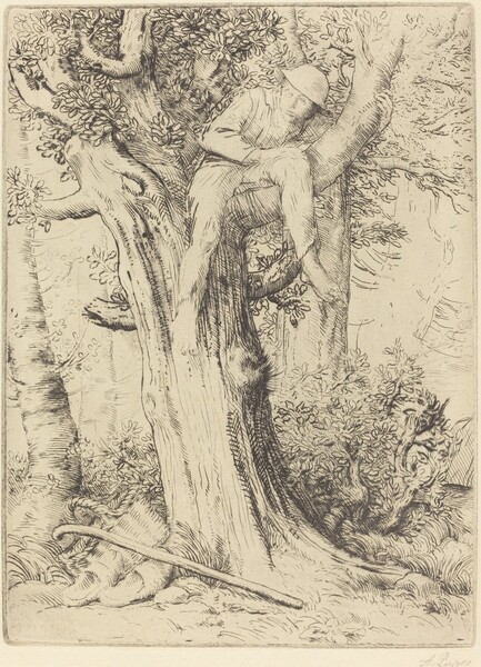 Landscape with a Boy in a Tree (Paysage avec un garcon gimpe sur un arbre dite Le denicher d