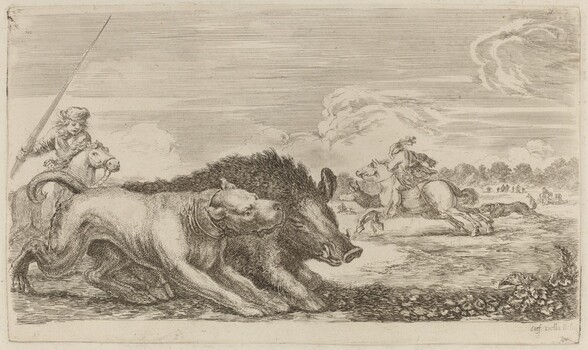 Boar Chased by a Dog