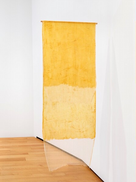 A long, rectangular strip of yellowed painted fabric is draped over a horizontal wooden rod that hangs from the ceiling in this sculptural piece. The cheesecloth hangs straight down either side of the dowel so it is longer in the back, and the ends do not touch. An uneven application of latex paint on most of the fabric gives the work a rubbery appearance, and causes some variation in the surface to create shiny areas. The loose weave of the cheesecloth is visible at the ends where the fabric was not painted. The cloth and dowel seem to float in midair because the filament from which the rod hangs is invisible in this photograph.